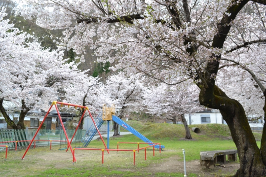 目の前が公園。春には桜が咲きます。